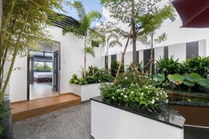 căn hộ 50m2 1pn sân vườn lê văn sỹ - q3