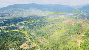 đi định cư cần bán trang trại tổng diện tích: 90.000m2. giá 25 tỉ