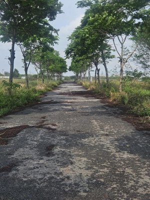 bán đất khu đô thị minh giang 3 mê linh hà nội dt 136m mt 8m giá 30 triệu x nhô cách 2k m cầu thượn