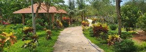 bán nhà vườn nghỉ dưỡng 6500m2 ( trong đó có 300m2 thổ cư ), tại xã long phước, tp. bà rịa vũng tàu