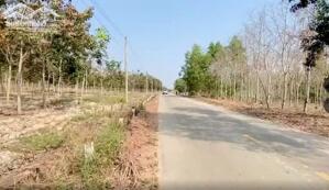 CHÍNH CHỦ ĐỊNH CƯ NƯỚC NGOÀI CẦN BÁN GẤP ĐẤT 2 MẶT TIỀN TẠI TÂN THÀNH 43, TÂN UYÊN, BÌNH DƯƠNG