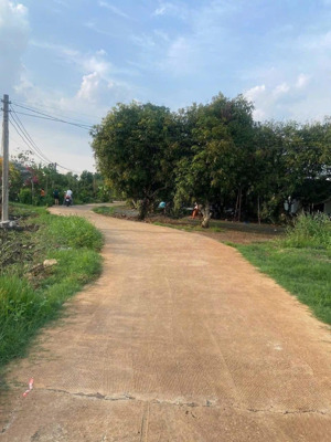 vườn trái cây bình lộc long khánh 3500m2 100 mét mặt suối giá chỉ 2 tỷ .
