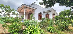 bán nhà vườn 9750m2 100m2 thổ, qh full đất ở, góc 3 mặt tiền đường nhựa suối lê 3, xuyên mộc, brvt