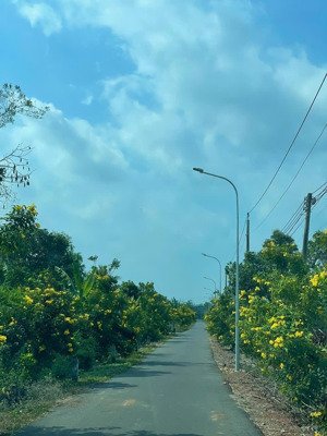 hot ! đất kim long, châu đức 113m mặt tiền nhựa quy hoạch thổ cư thích hợp đầu tư hoặc để dành ạ