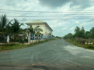 ngộp bán gấp 1500m2 gần đường đt753, xã tân hưng, đồng phú, bình phước, hỗ trợ ngân hàng