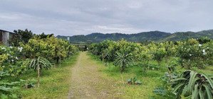 bán đất đẹp tại đường b''lao xê rê, xã đại lào, bảo lộc, lâm đồng, 14 tỷ, 5500m2