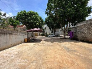 cho thuê đất metro đường lê trọng tấn - 10 x 24m - 8 triệu/ tháng