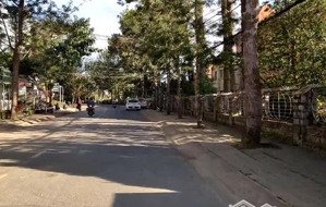 cho thuê nhà nguyên căn đường yersin, phường 10, đà lạt, 90 triệu, 102m2 giá tốt