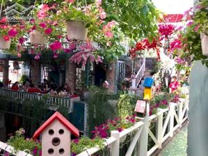 Bán quán cafe sân vườn 661m2 , Mặt Tiền Nguyễn Ảnh Thủ , TP HCM , Giảm 21 tỷ , Lh 0939208616