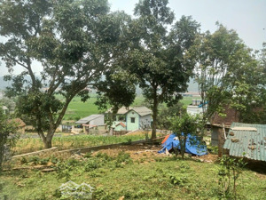 bán dt 3600m và 2200m mỗi sổ có 400m tc . view như sapa . đất tại tiến xuân thạch thất hn