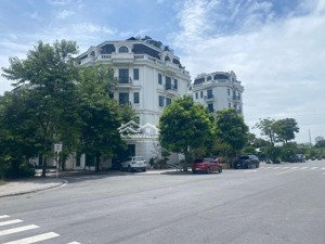 siêu lô góc luxury - trục chính kinh doanh - hàng hiếm