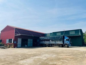 cho thuê kho, nhà xưởng, đất 3000m2, từ 5tr/th, tại đường tránh kcn tây bắc đồng hới, quảng bình