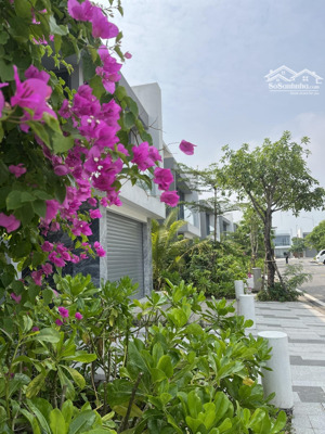 cho thuê biệt thư victoria - khu biệt thự biệt lập dành cho nhưng ai yêu thích sự tĩnh lặng