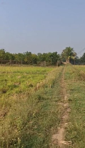bán mảnh đất nn dai thanh , dt hơn 1000m2, mt 18m bám đường, làm vườn, nghỉ dưỡng đỉnh, giá 1tỷ