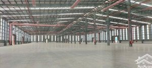 cho thuê kho xưởng tiêu chuẩn quốc tế khu công nghiệp long hậu. huyên cần giuộc