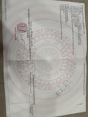 cho thuê đất phân lô 170m2 khu đô thị cát tường đường trước mặt 7m vỉa hè hai bên mỗi bên 3m