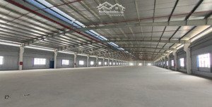 cho thuê xưởng sản xuất 5000m2, 8000m2, 12.000m2 ngay kcn long hậu, kcn tân kim, cần giuộc, long an