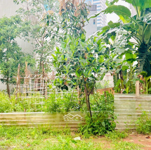 bán đất dịch vụ khu c yên nghĩa , hà đông diện tích 51,3 m2. mặt tiền 5m vị trí đất cách phenika 2p