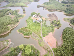 bán đất làm khu nghỉ dưỡng 12000m có 400m thổ cư tại hồ nghành chè bình sơn sông công!