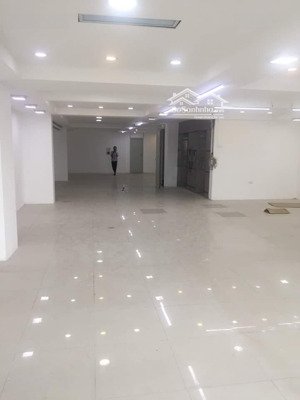 cho thuê văn phòng tại hậu giang, 55 triệu, 170m2, mặt tiền 12m