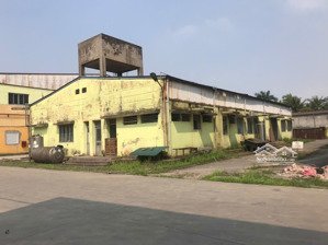 cho thuê kho xưởng ( dựng mới mất 1,5 - 2 tháng ) kcn tân quang - huyện văn lâm - tỉnh hưng yên .