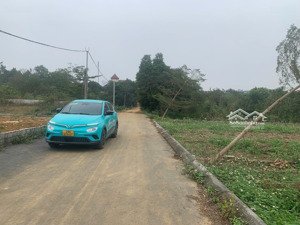 bán đất lô 85m2 tại thôn miễu, sát xanh villas - hòa lạc ngay gần trường đhqg, giá đầu tư