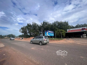 mt dt753 1006m2 giá chỉ 535tr bán gấp do chủ kẹt ngân hàng
