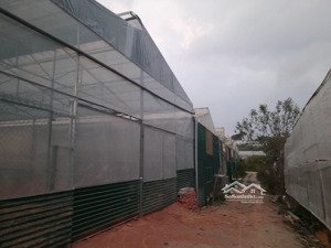 cho thuê mặt bằng làm kho,xưởng, văn phòng 450m2, giá 8 triệu/tháng khu vực trung tâm tp. đà lạt