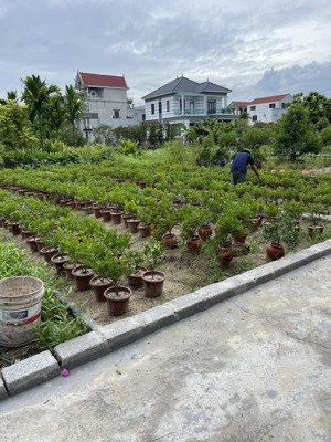 cực hiếm 62m2 đất xâm xuyên hồng vân, đường thông, 2,7xx tỷ
