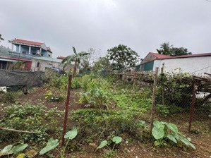chính chủ cần bán 400m2 tiến xuân thạch thất hà nội gần đhqg lh 0868983386.
