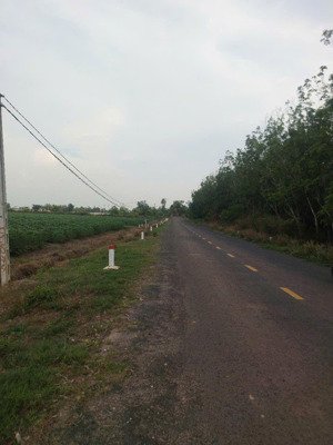 bán gấp hơn 7,5 hecta đất cln tại xã ninh điền, châu thành, tây ninh, giá 17ty thương lượng chủ