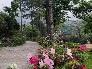 bán đất nền biệt thự khu 37 hộ thị trấn măng đen