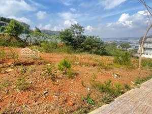 đất biệt thự khu vạn xuân lạc dương view đẹp 290m2 full thổ giá 6,150 tỷ chỉ 21 triệu/m2 rẻ nhất