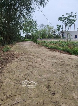 siêu rẻ chỉ vài triệu /m đất chương mỹ cụ thể loanh quanh 5tr/m 415m đất sẵn sổ đỏ đường ô