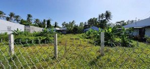 chính chủ cho thuê đất trống làm kho, bãi, xưởng, quán ăn giá 29 triệu, 1420 m2, mt 36 x 40m.