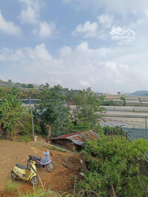2264m2/3.5 tỷ, cách ql 1km, khu dân cư, đường ô tô. sổ đỏ