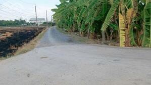 Bán nền thổ 5x26,5 MT Nguyễn Thị Tầm , Cách chợ Binh lãng TL833 vào 1km Tại Xã Tân Trụ Tỉnh Long An