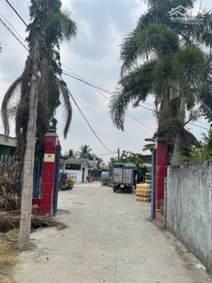 đất thổ vườn đang làm trang trại chủ ngộp cần bán gấp giá rẻ tại thành phố tân an - long an