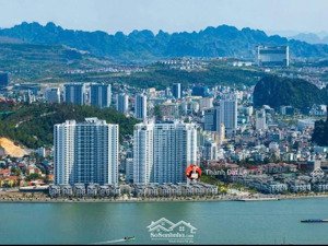 chính chủ cho thuê căn hộ 1pn sapphire, bao biển bến đoan, trung tâm tp. hạ long
