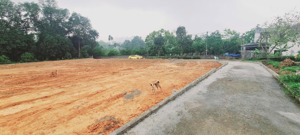 bán đất tại xã cao dương, lương sơn, hòa bình, 2,5 triệu / m2, 2343 m2, đẹp, sử dụng nhiều mục đích