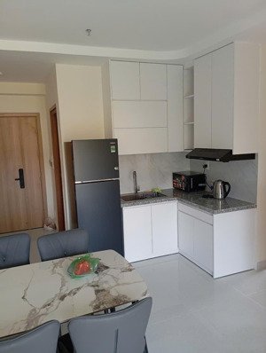 căn hộ 2 phòng ngủ 2 vệ sinh ban công thoáng nhà mới bàn giao cho thuê 10 triệu