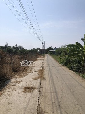 bán trang trại, khu nghỉ dưỡng tại đường 873b, gò công đông, tiền giang, 4,3 tỷ, 3000m2