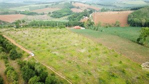 bán 6,5 ha sầu riêng ở ealy sông hinh phú yên