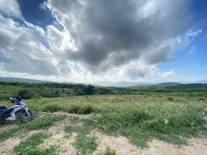 bán gấp trang trại ở sơn giang, 150 triệu, 10000m2 đẹp, nhiều tiện ích