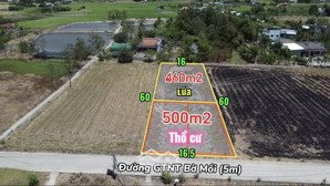 960m2 có 500 thổ cư cách chợ cần đước 2km