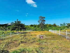 bán đất hàng hiếm rẻ, đẹp tại quốc lộ 50, 700 triệu, 120m2, pháp lý đầy đủ, có sổ hồng riêng