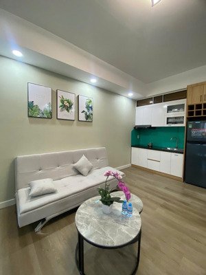 860tr 1pn-1wc 41m2 sở hữu ngay căn hộ an phú đông shr bank hỗ trợ 70% quận 12