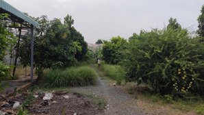 bán đất sào hơn 1250m2 có sẵn vườn trái cây ở xã phước khánh nhơn trạch đường vào đất rộng 3,5m