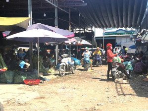 cho thuê kho, nhà xưởng tại 13, gò vấp, hồ chí minh, 80 triệu, 3000 m2 hàng hot