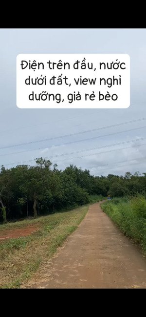 đất view đồi đà lạt nghỉ dưỡng